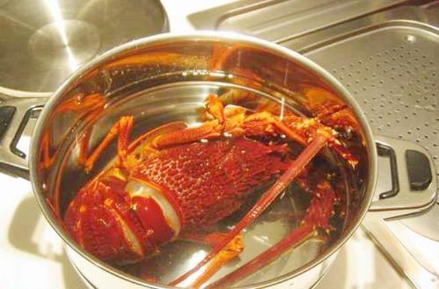 原汁原味澳洲大龙虾的家常做法