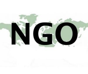 NGO是什么意思?NGO非政府组织成立目的