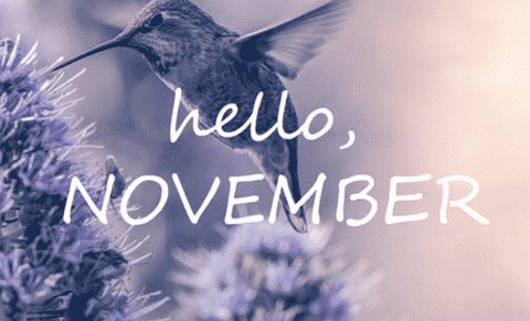 Nov是几月份的缩写?November十一月名称来历