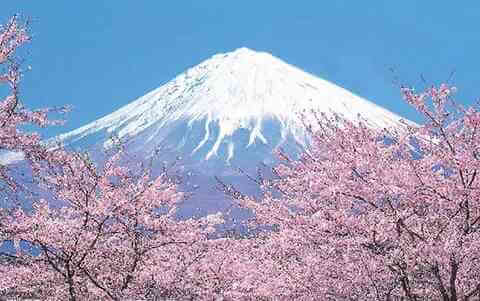 日本富士山是私人的，你知道吗?
