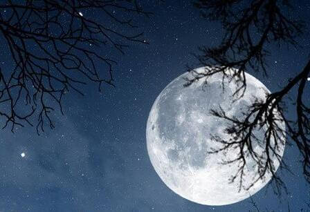 白月光是什么意思 白月光一词出自哪里