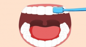 牙黄变白最实用的方法，清洁牙齿就看这六招