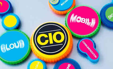 CIO是什么意思?CIO构建的职能组织